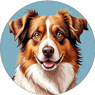 NovaKun logo